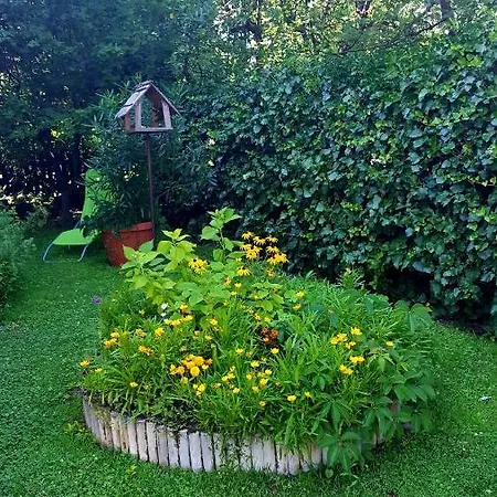 Borostyan Apartmann Apartament Balatonföldvár